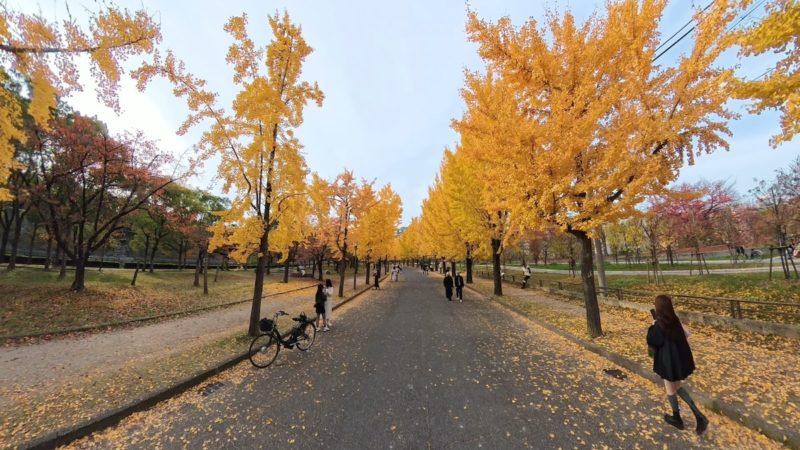 X4 Airで撮影した映像のキャプチャー