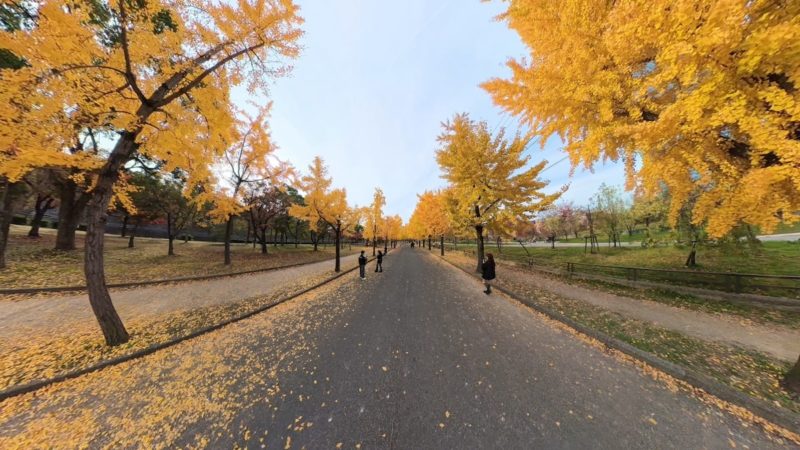 X4 Airで撮影した映像のキャプチャー